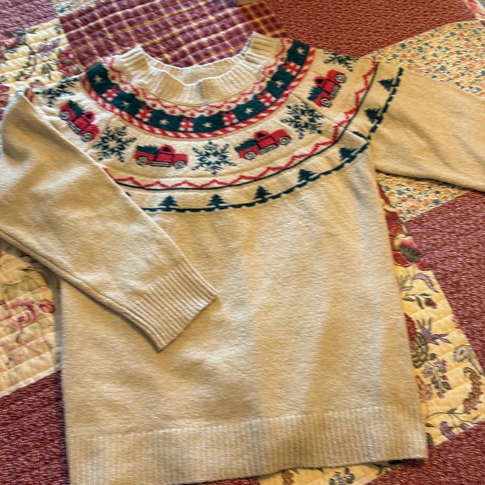 Maurice’s sweater sz 0x